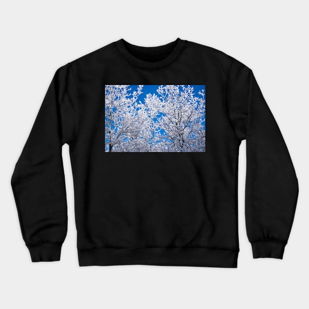 Alberta, Canada winter. Crewneck Sweatshirt by CanadianWild418